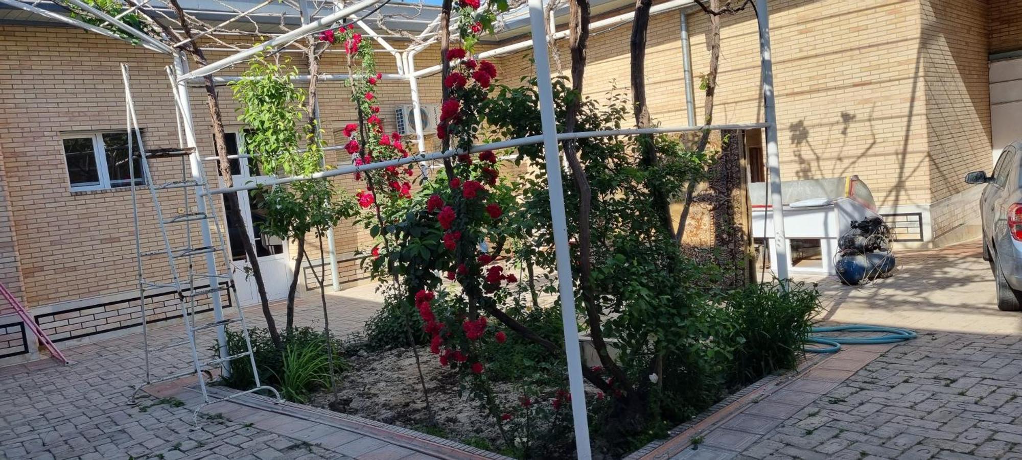 Guest House Muborak Samarkand Esterno foto
